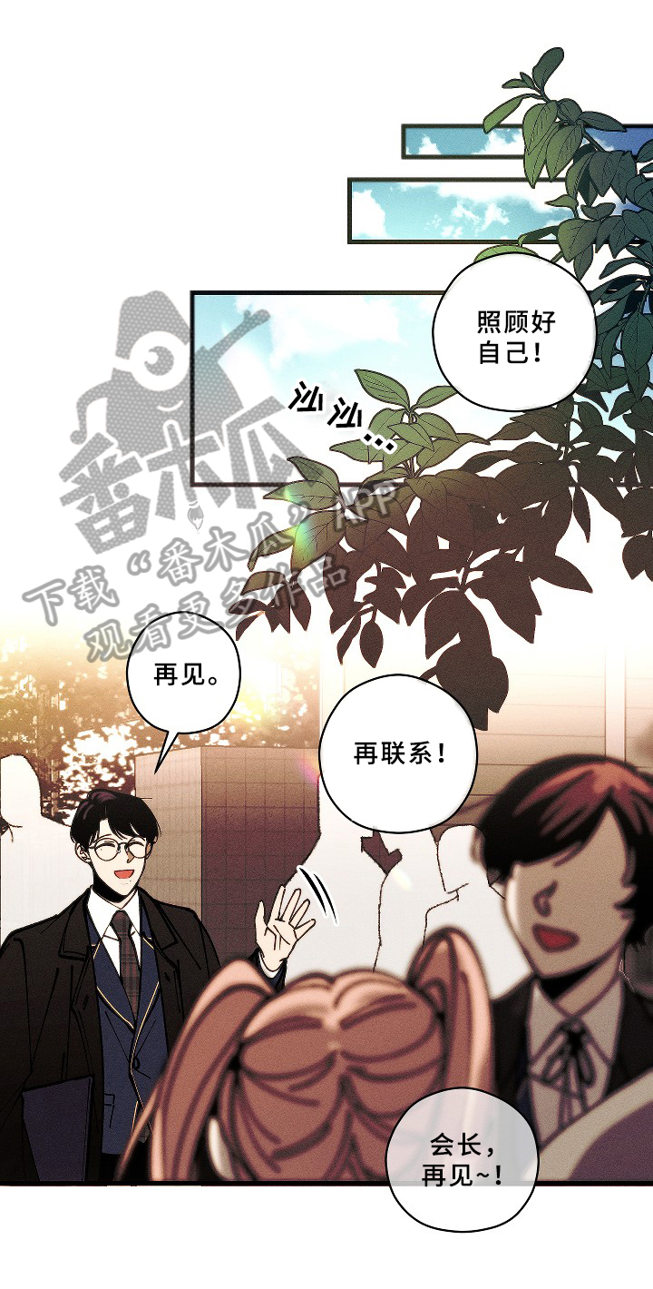 《盛夏已至》第17章喜欢 第4页