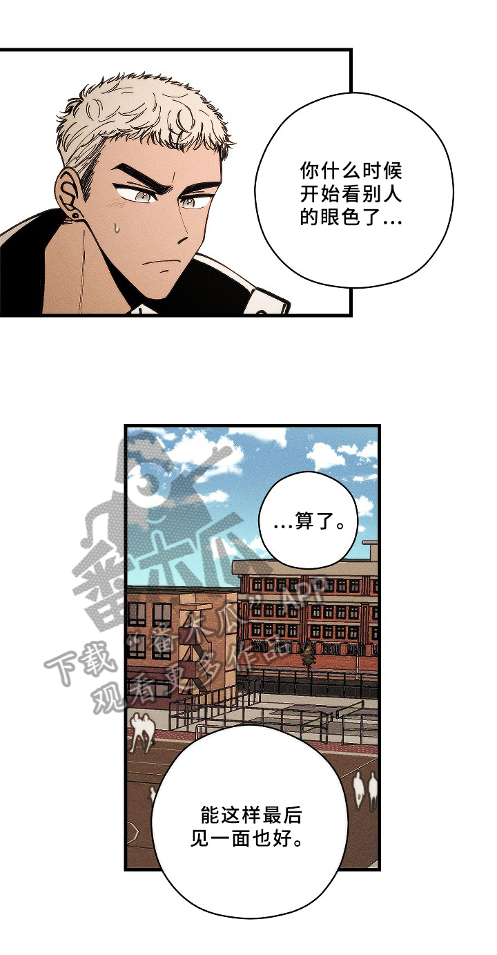 《盛夏已至》第17章喜欢 第9页