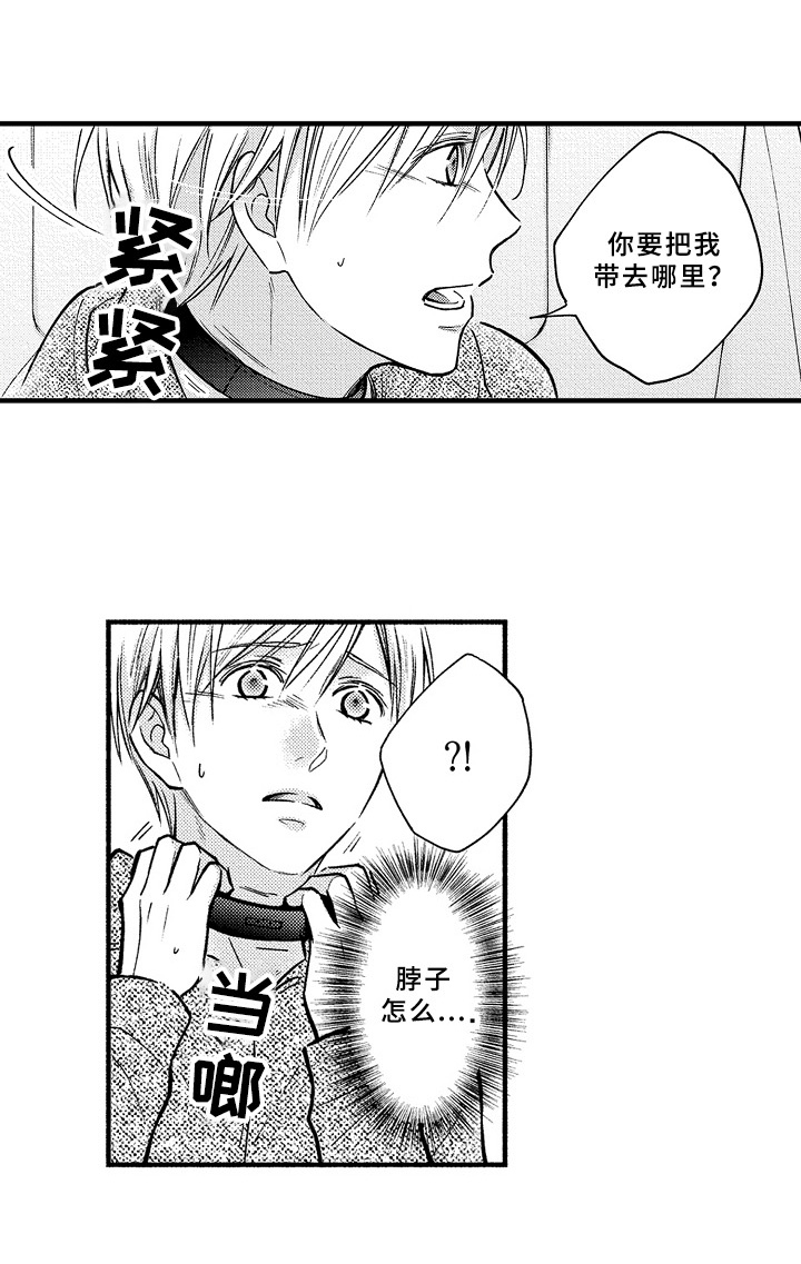 《欧米茄综合症》第39章限制 第8页