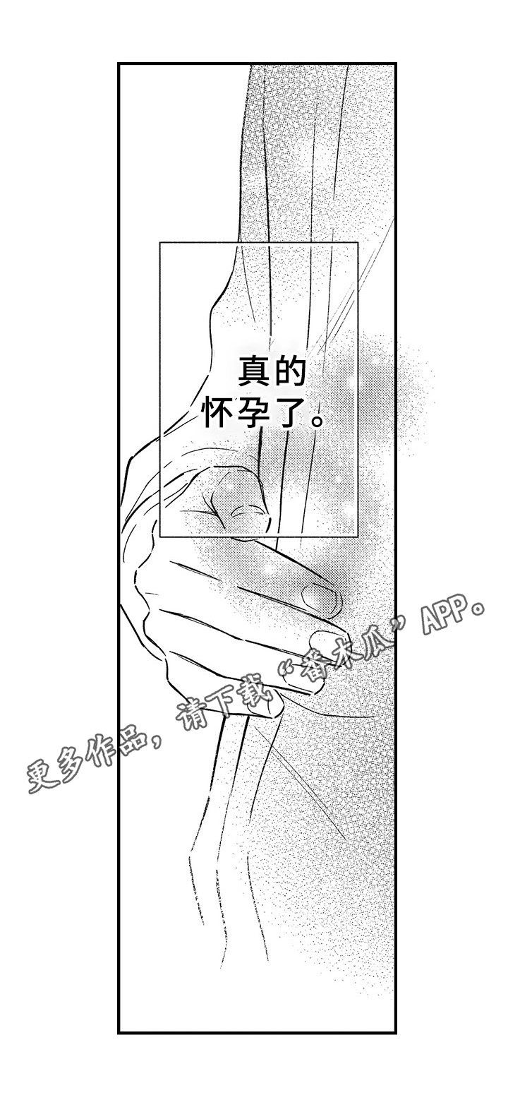 《欧米茄综合症》第29章怀孕 第13页
