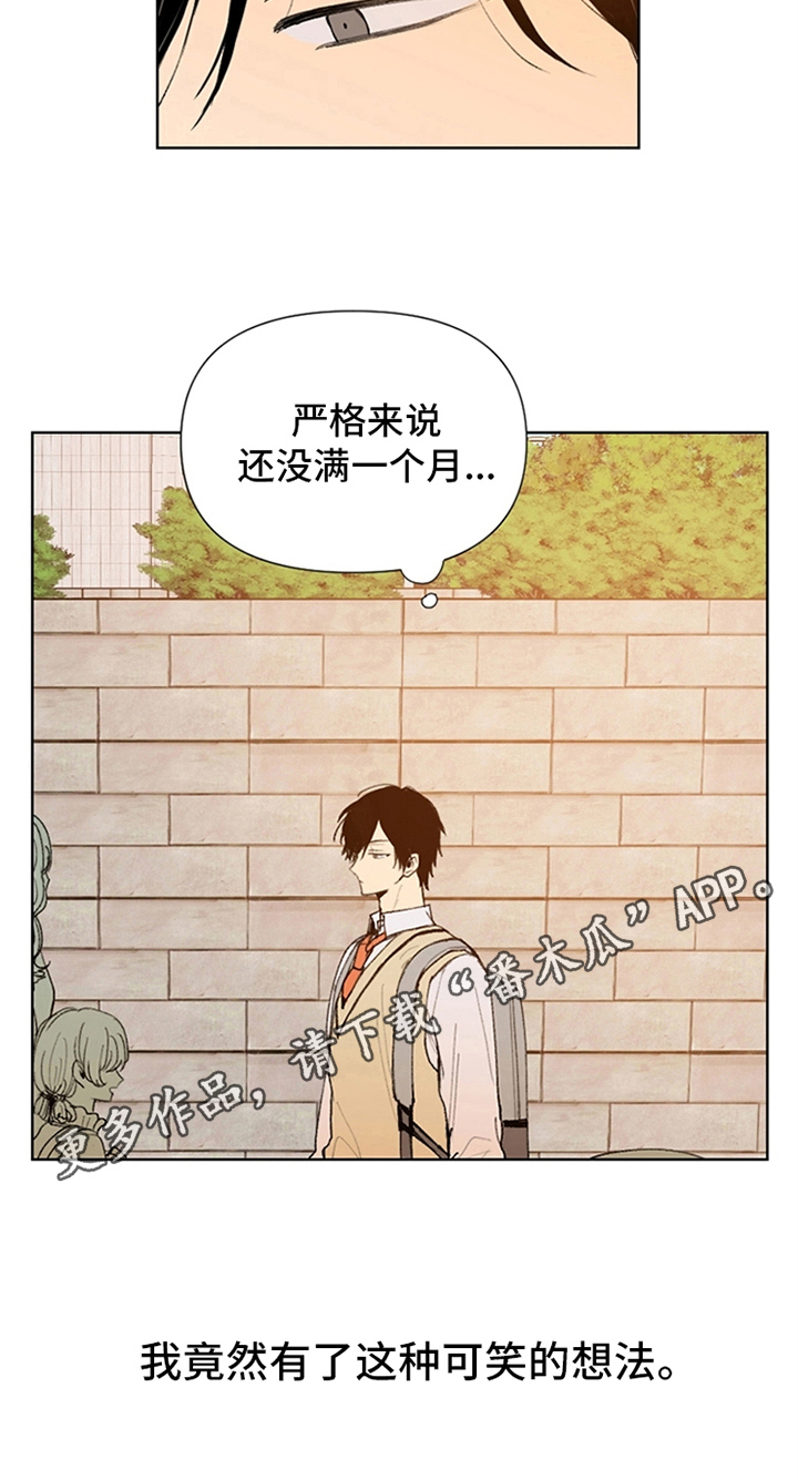 《平等的恋爱》第23章可笑的想法 第8页