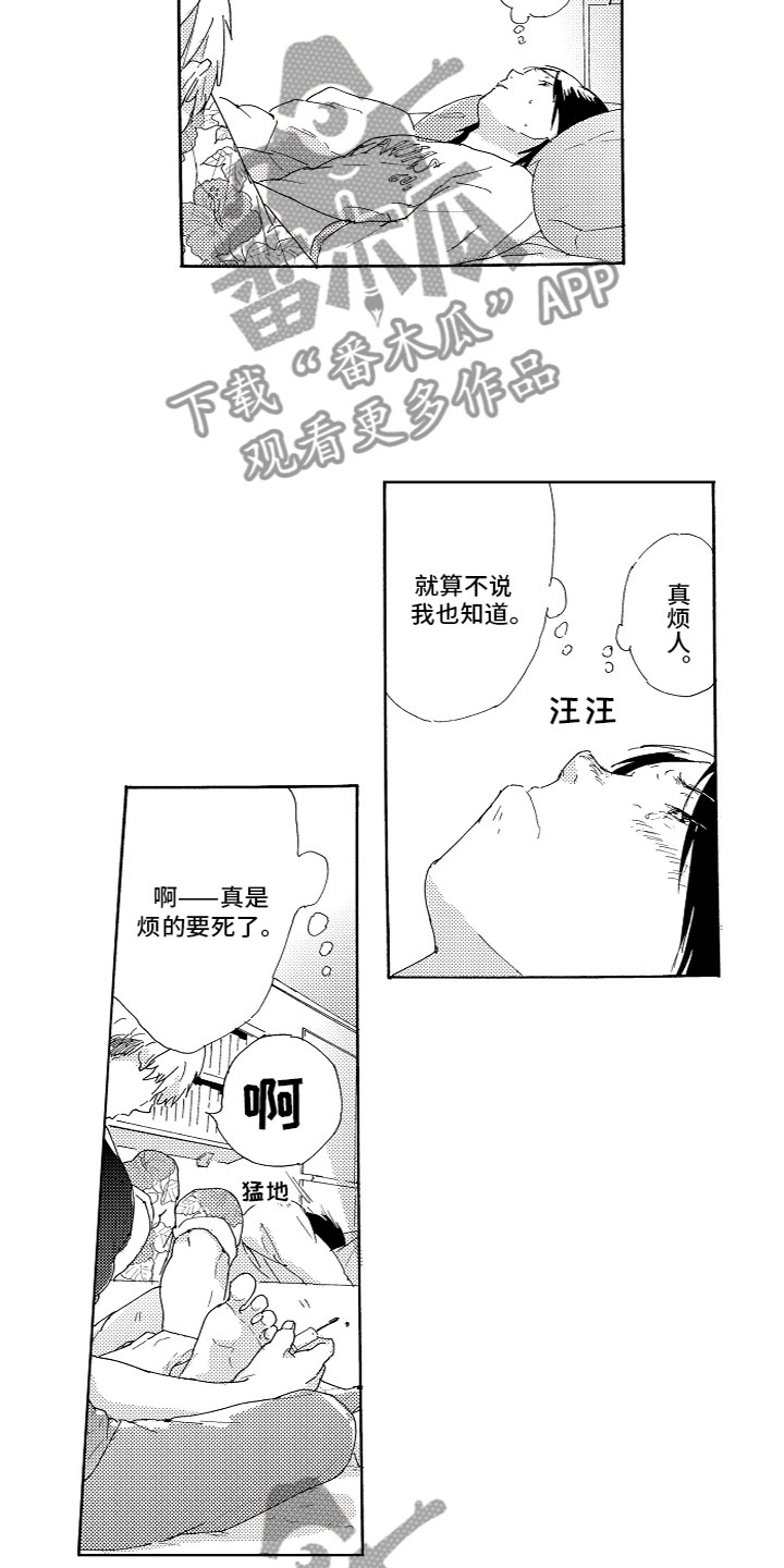 《亲吻你受伤的脚》第9章心动 第8页