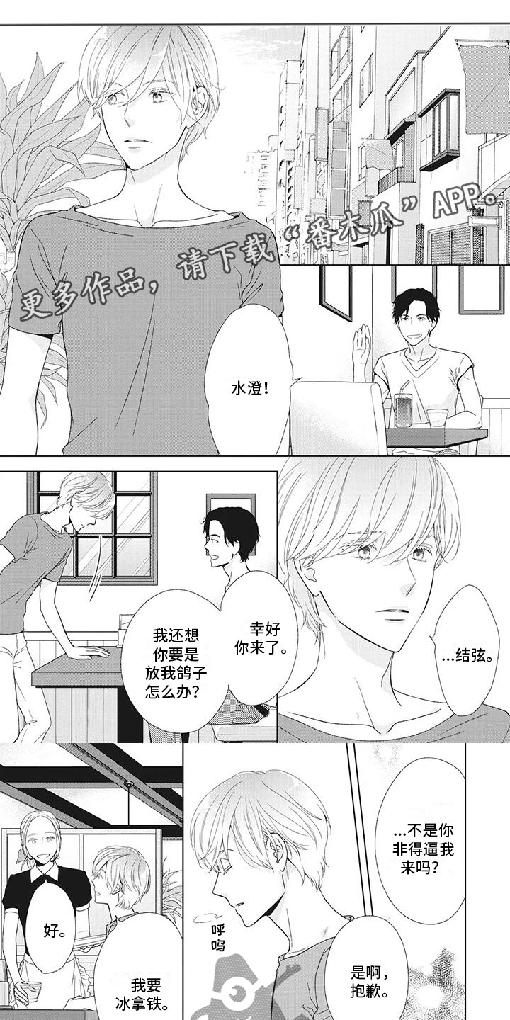 《你不醉没机会》第32章重新开始 第1页