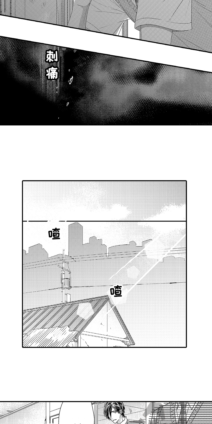 《甜蜜的痛苦》第12章拒绝 第2页