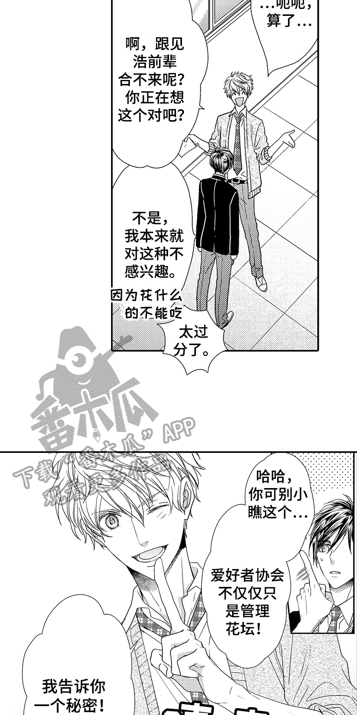 《甜蜜的痛苦》第4章劝说 第11页