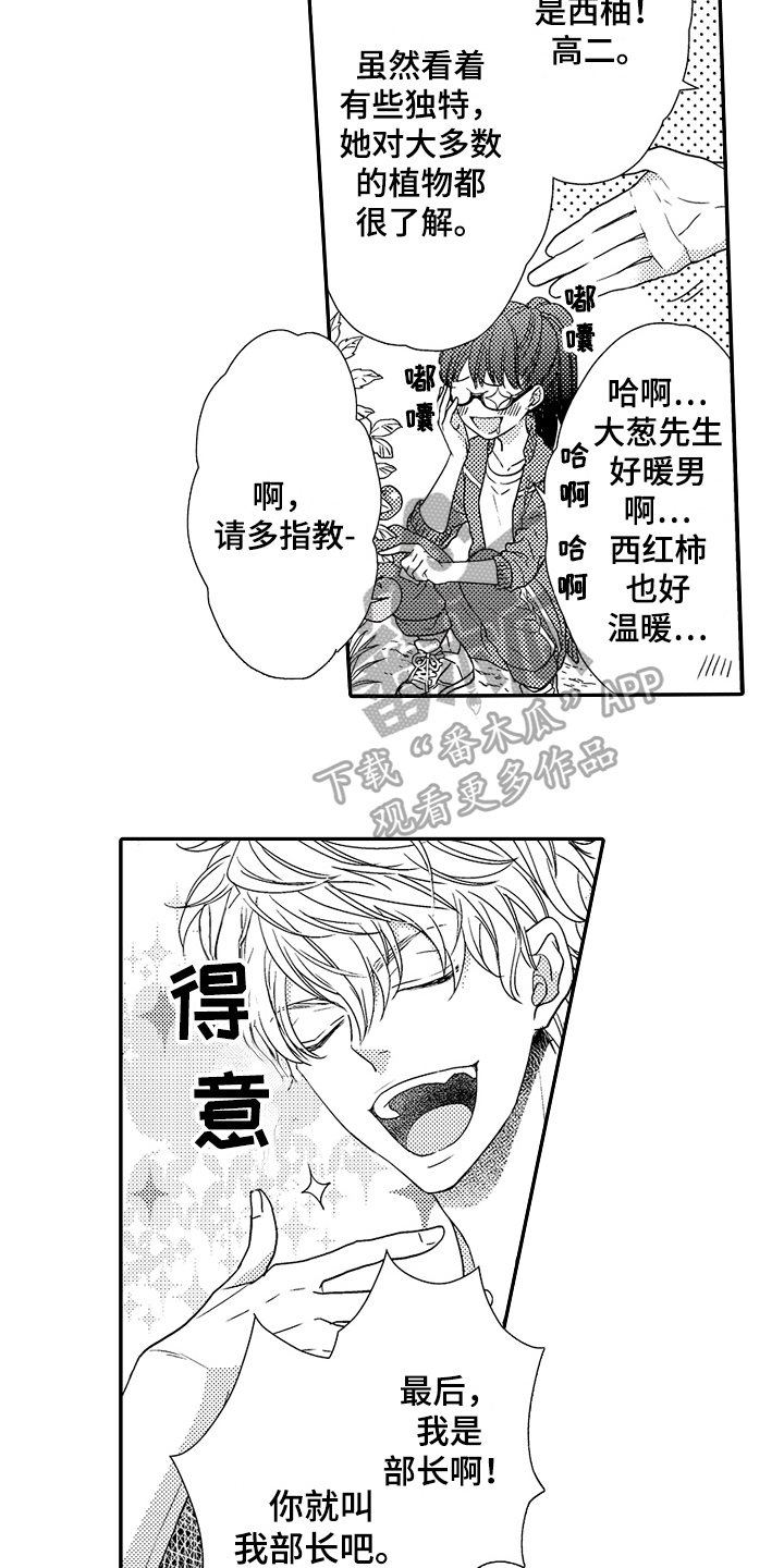 《甜蜜的痛苦》第5章介绍 第11页