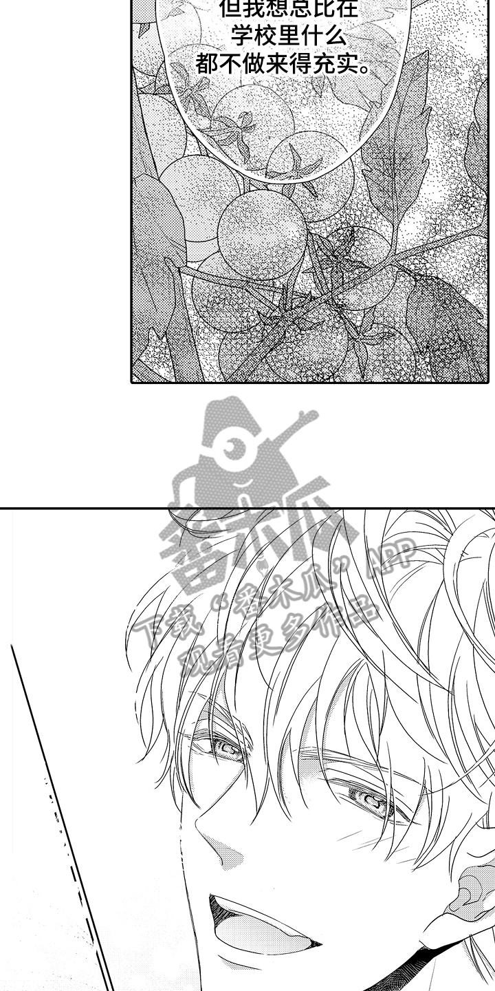 《甜蜜的痛苦》第5章介绍 第3页