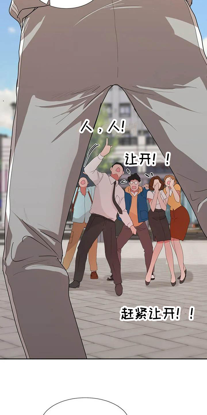 《老板密事》第15章死亡 第11页
