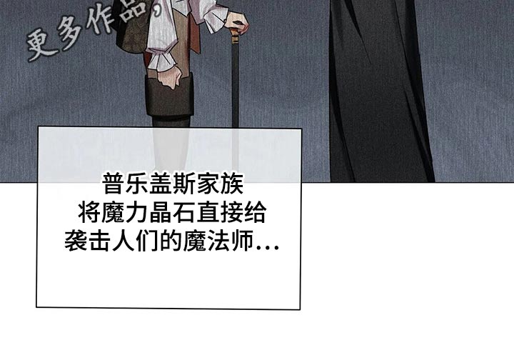 《亚伦向我求婚》第76章【第二季】古代魔法 第12页