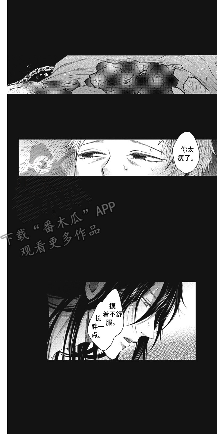 《熟悉的面貌》第20章守护神 第2页