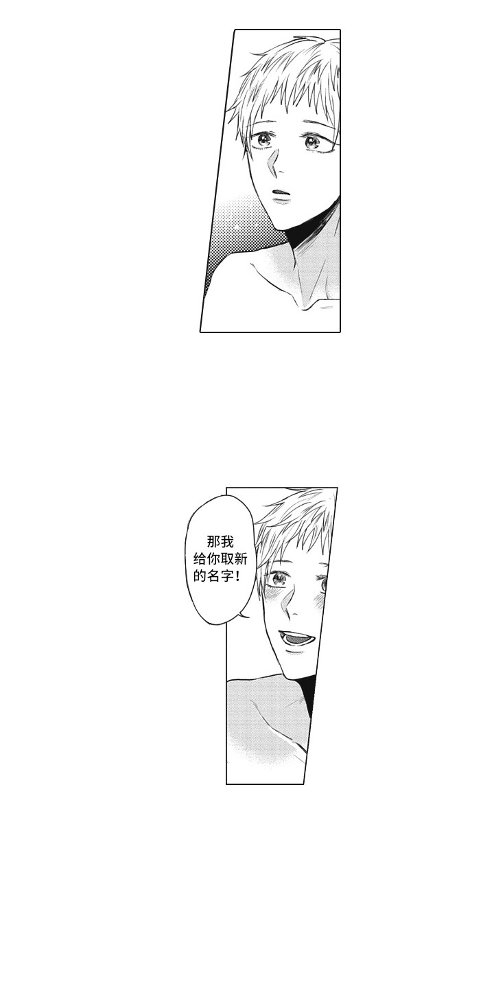 《熟悉的面貌》第21章取名 第5页