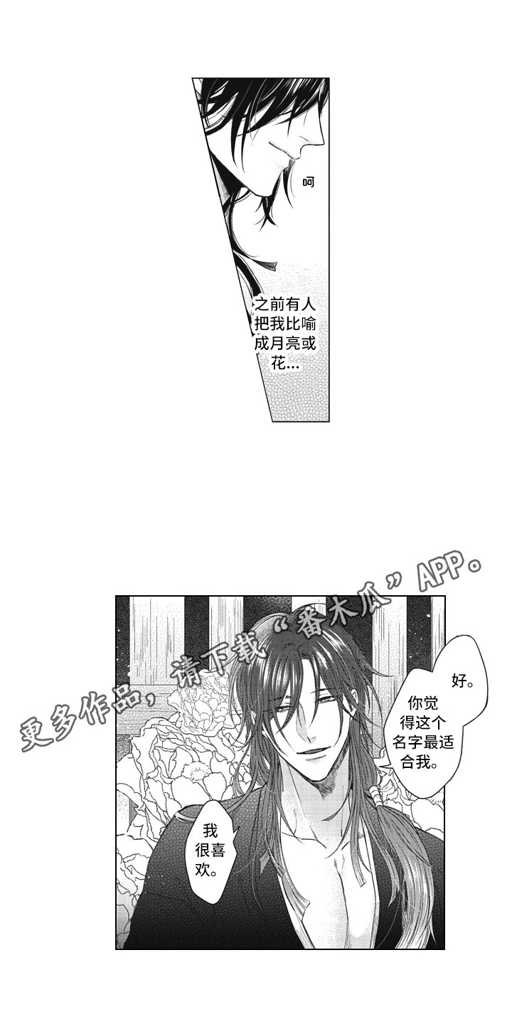 《熟悉的面貌》第21章取名 第8页