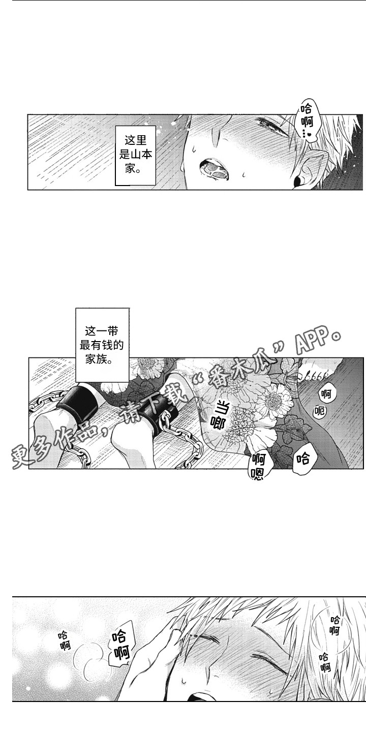 《熟悉的面貌》第19章工具人 第4页