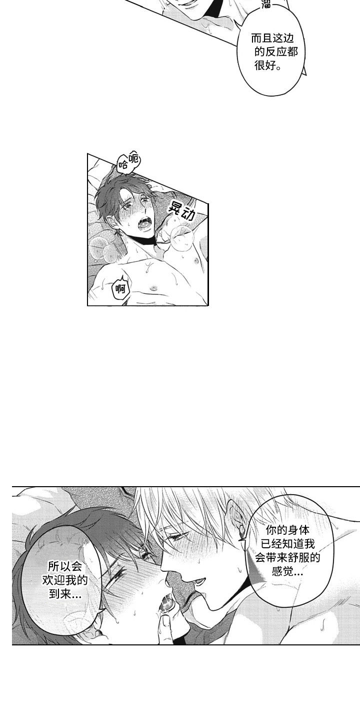 《熟悉的面貌》第17章实际行动 第12页