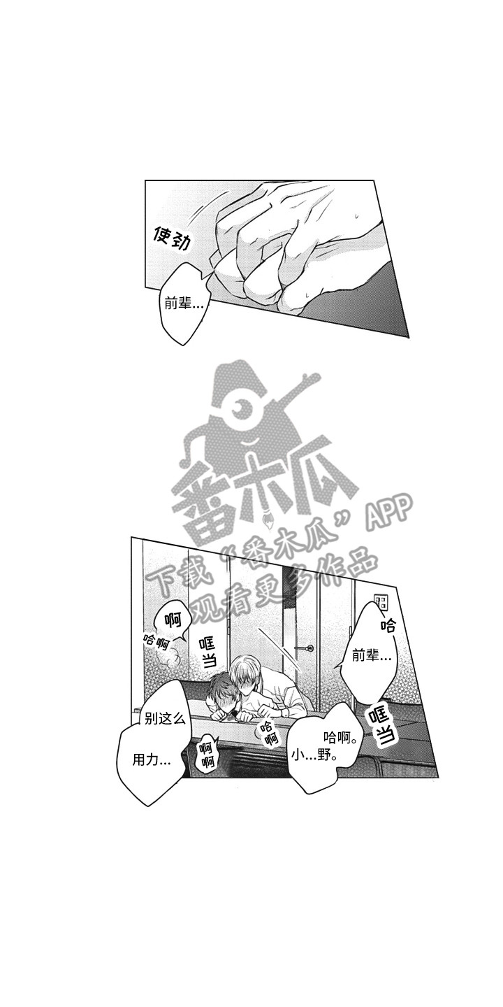 《熟悉的面貌》第12章无法拒绝 第11页