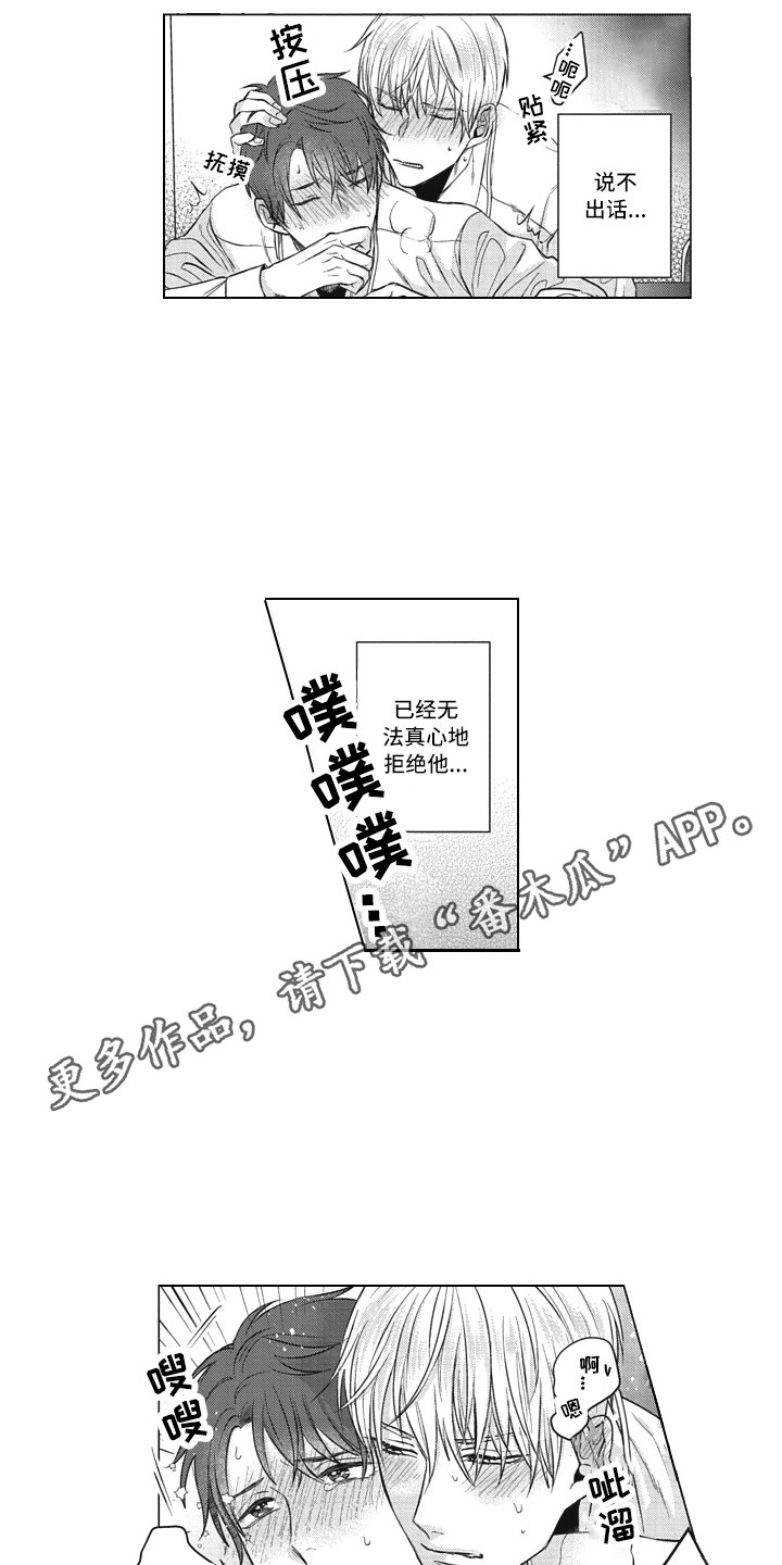 《熟悉的面貌》第12章无法拒绝 第3页