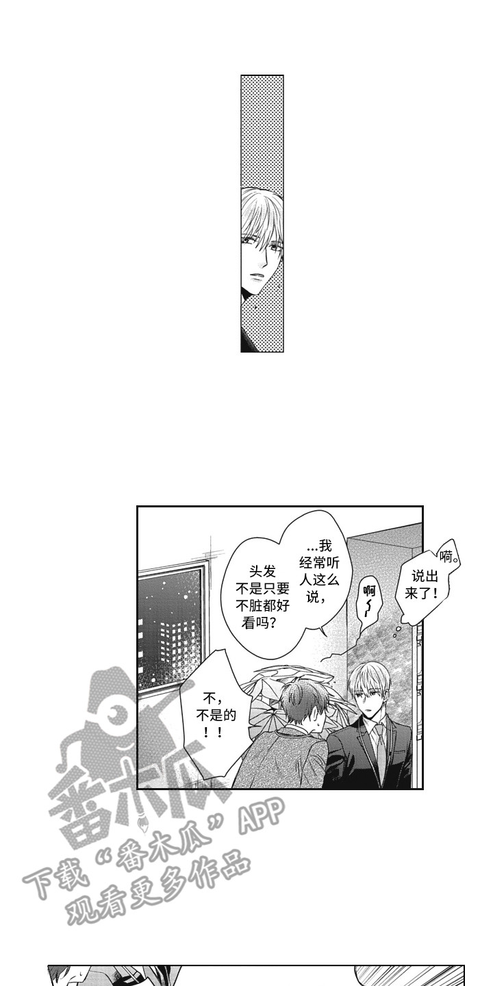 《熟悉的面貌》第4章头发 第1页