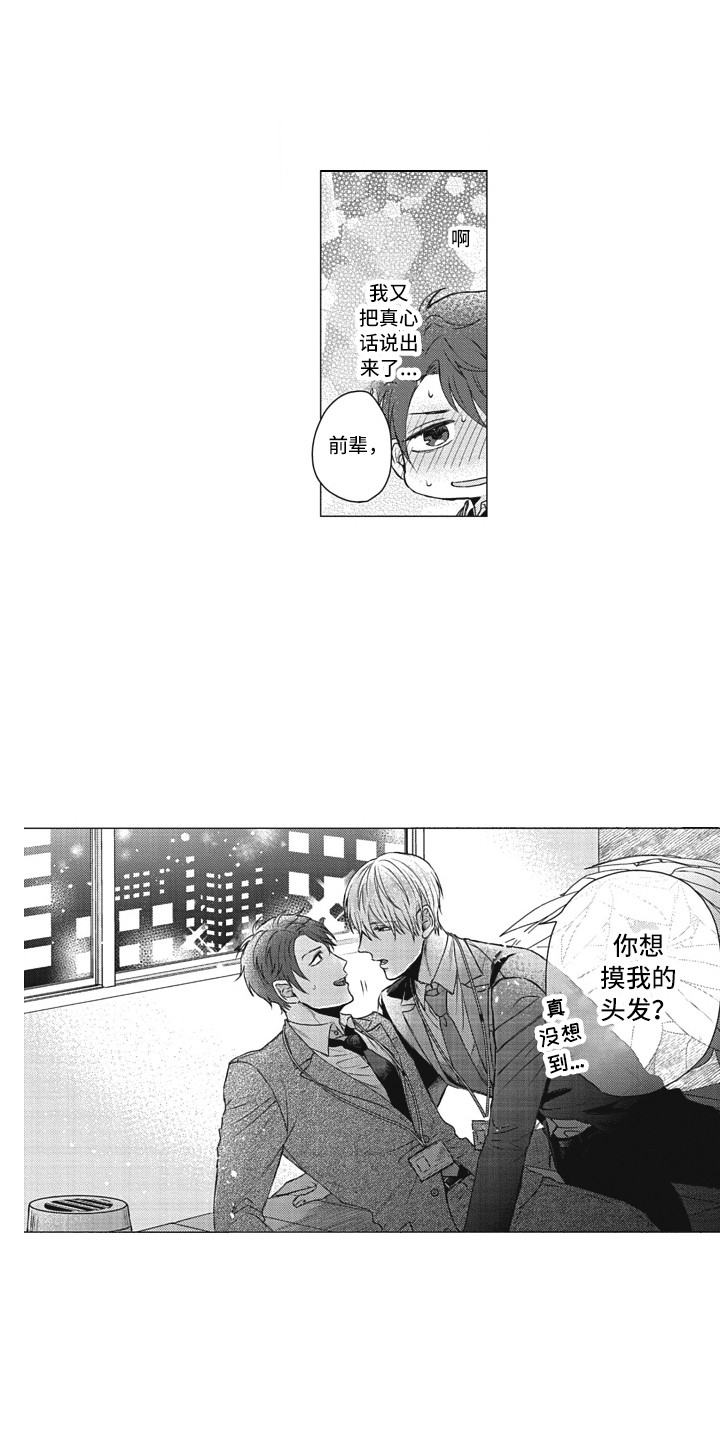 《熟悉的面貌》第4章头发 第4页