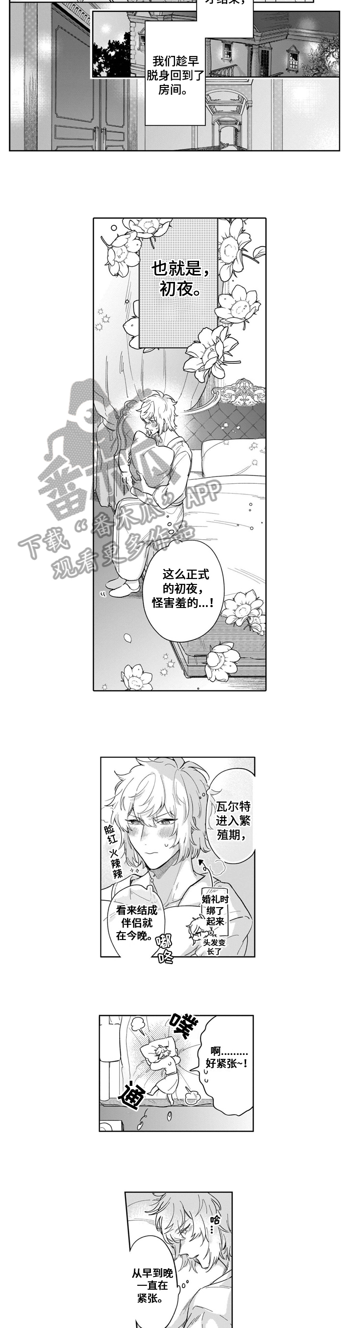 《异界命运交织》第20章着急 第3页