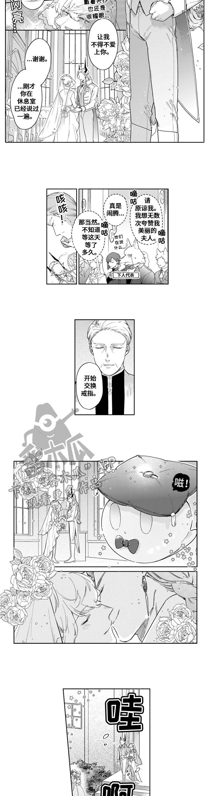 《异界命运交织》第19章结婚 第6页
