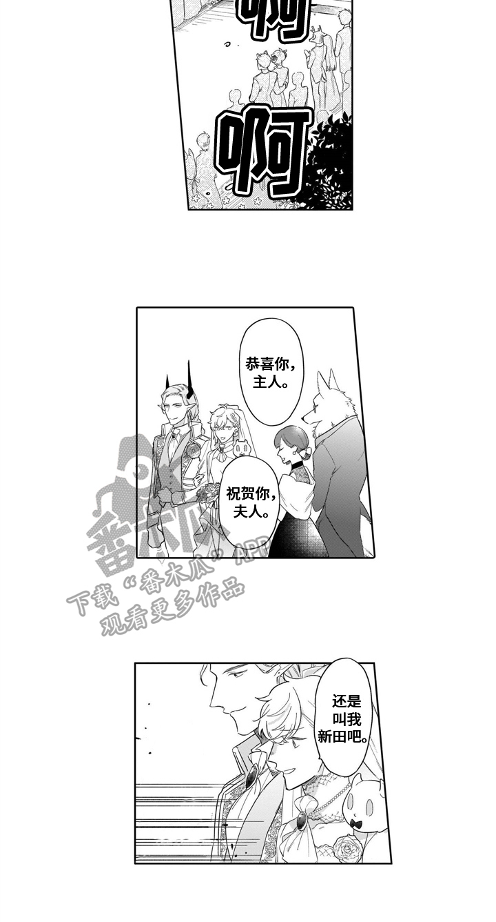 《异界命运交织》第19章结婚 第7页