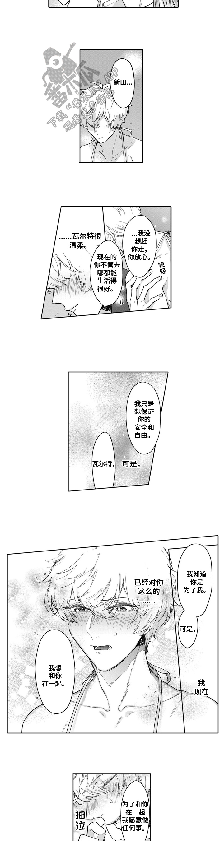 《异界命运交织》第13章行动 第6页