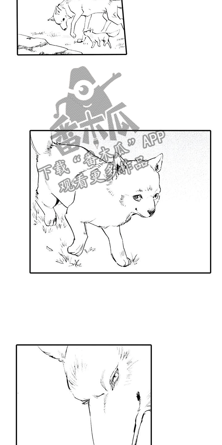 《狼人降临》第29章一定会回去 第13页