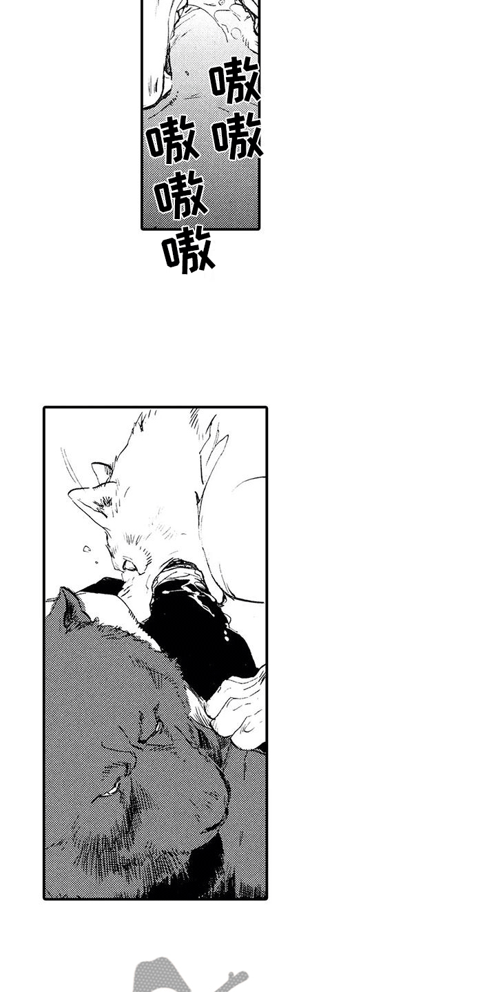《狼人降临》第28章失去理智 第11页