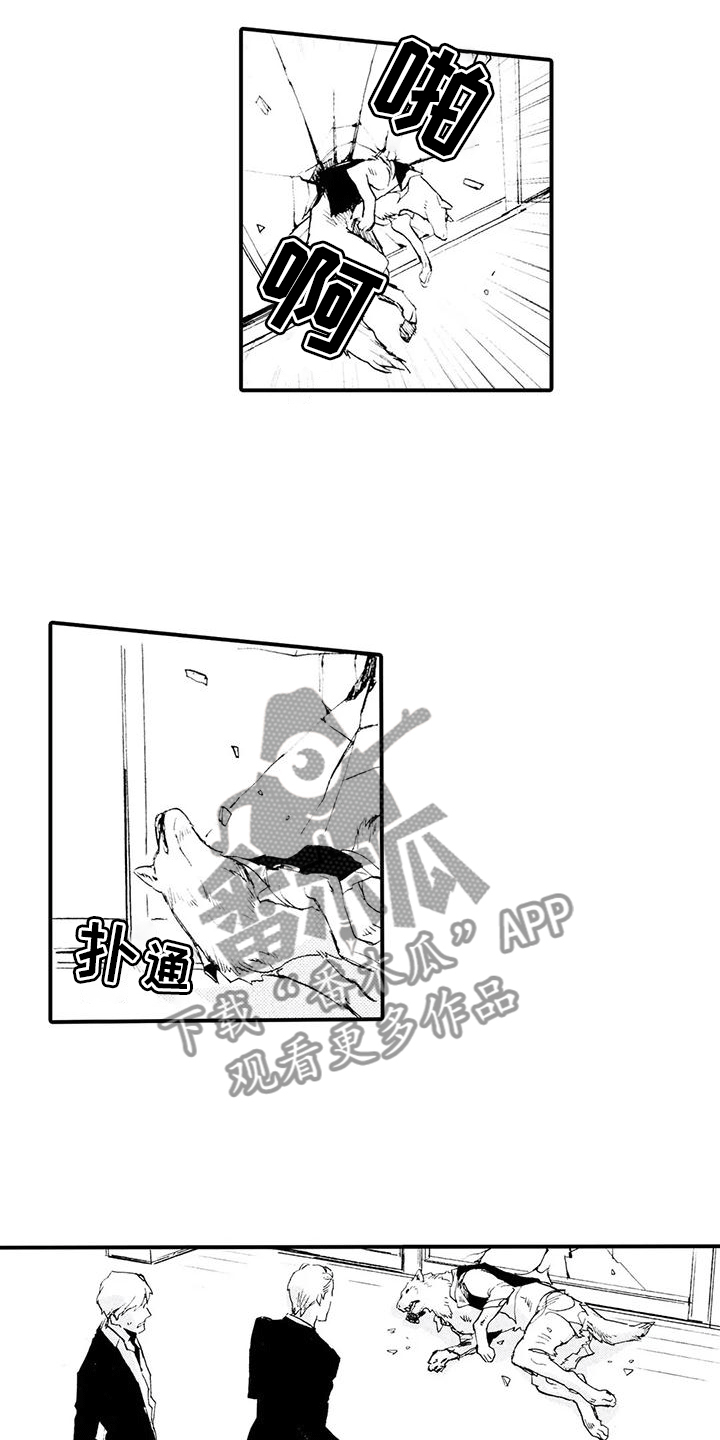《狼人降临》第28章失去理智 第13页