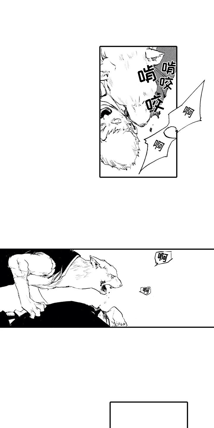 《狼人降临》第28章失去理智 第3页