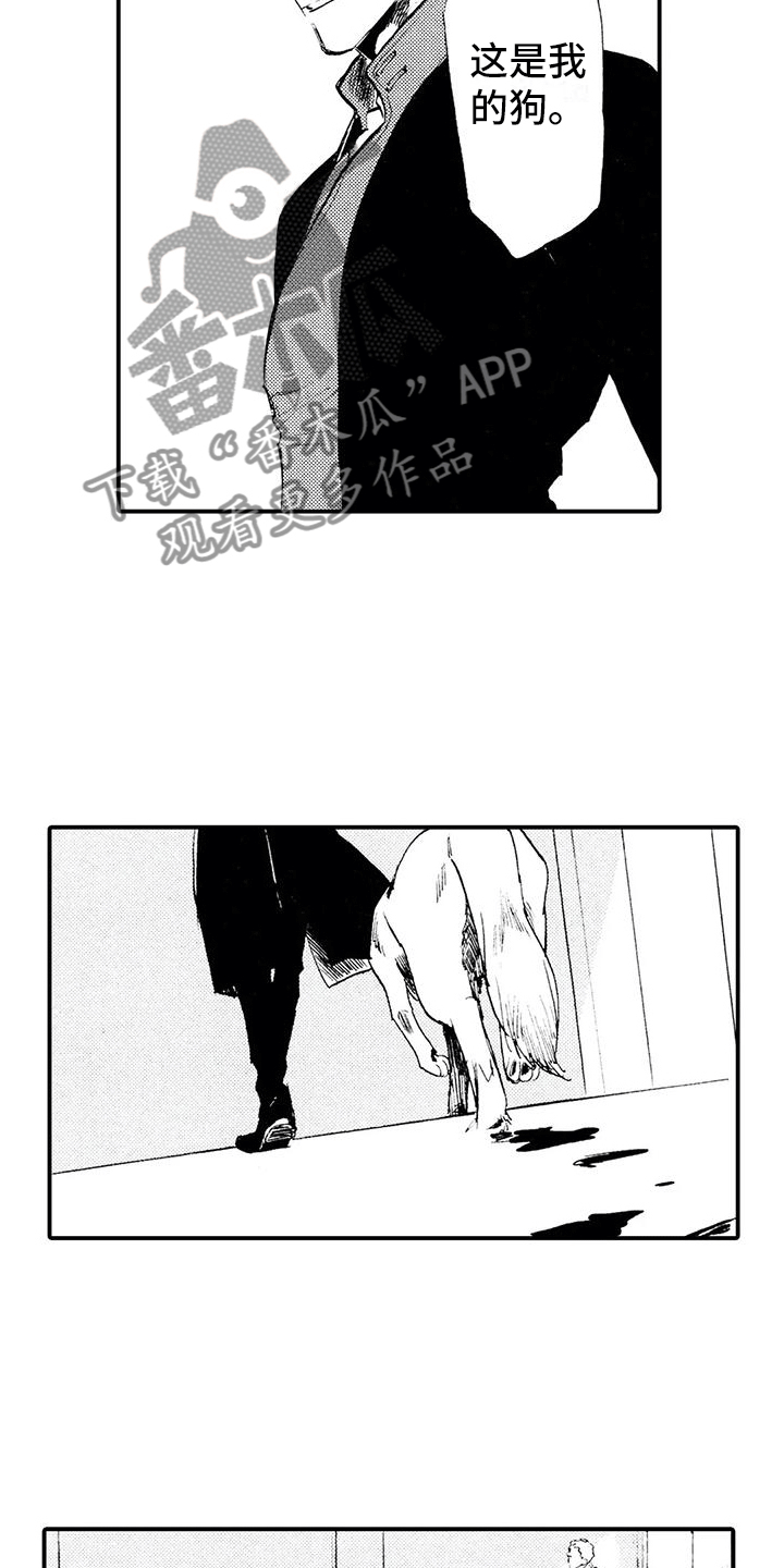 《狼人降临》第30章这是我的狗 第13页