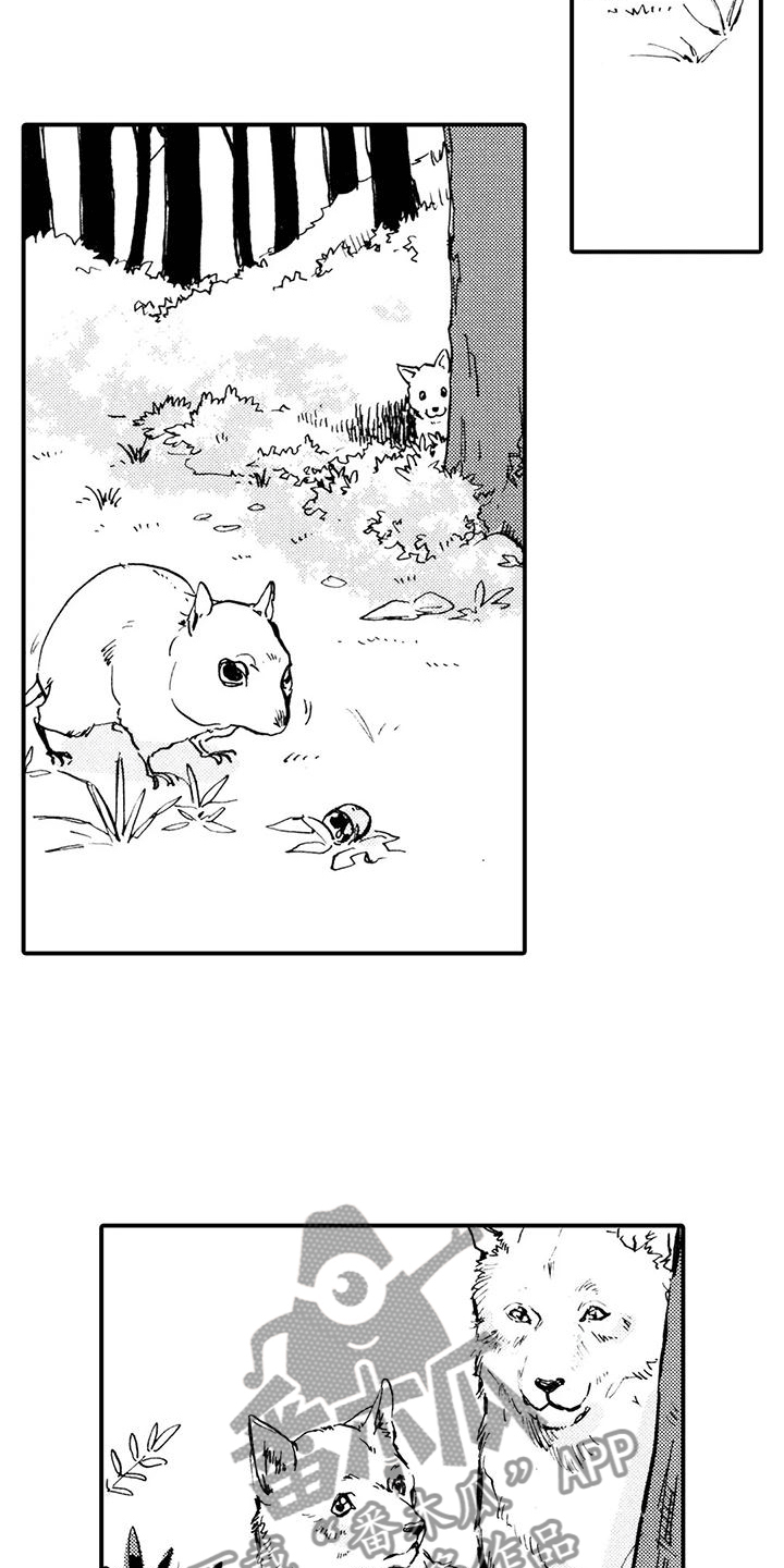《狼人降临》第31章都是他干的 第11页