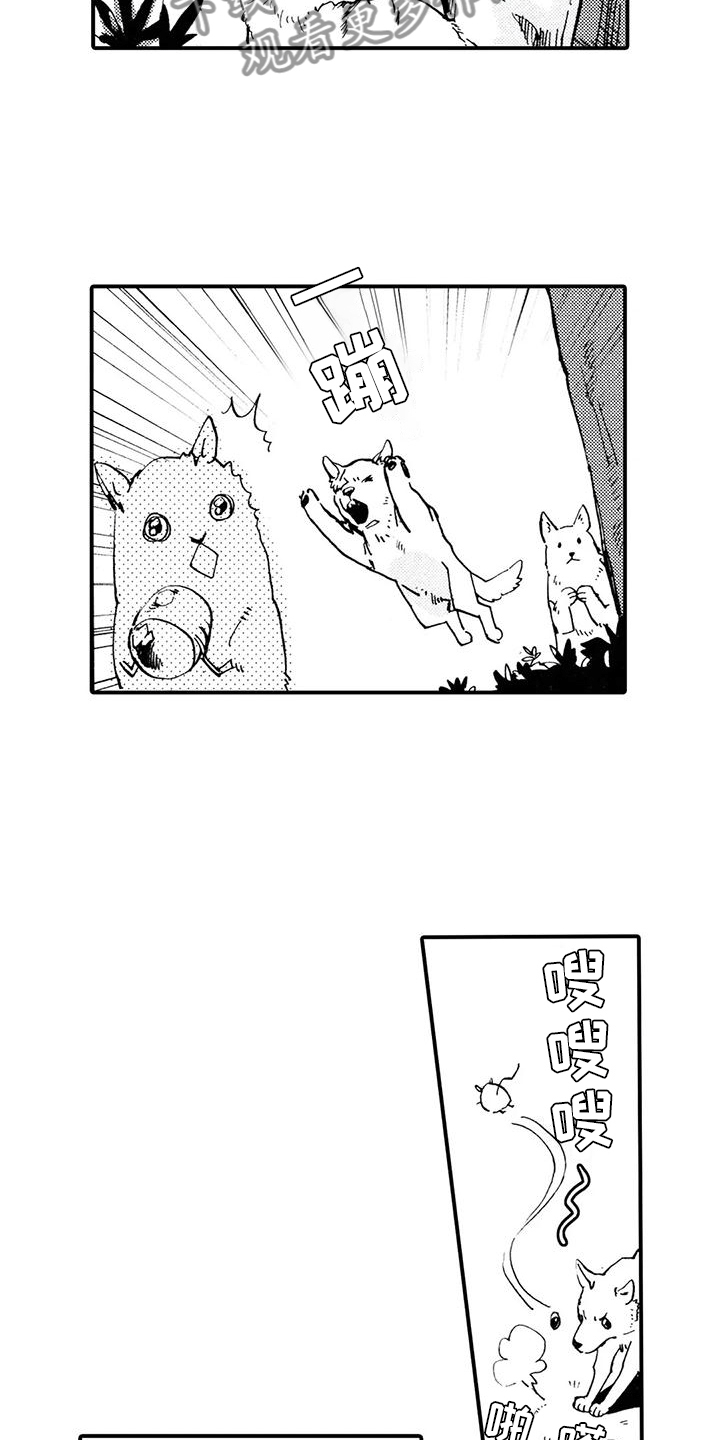 《狼人降临》第31章都是他干的 第12页