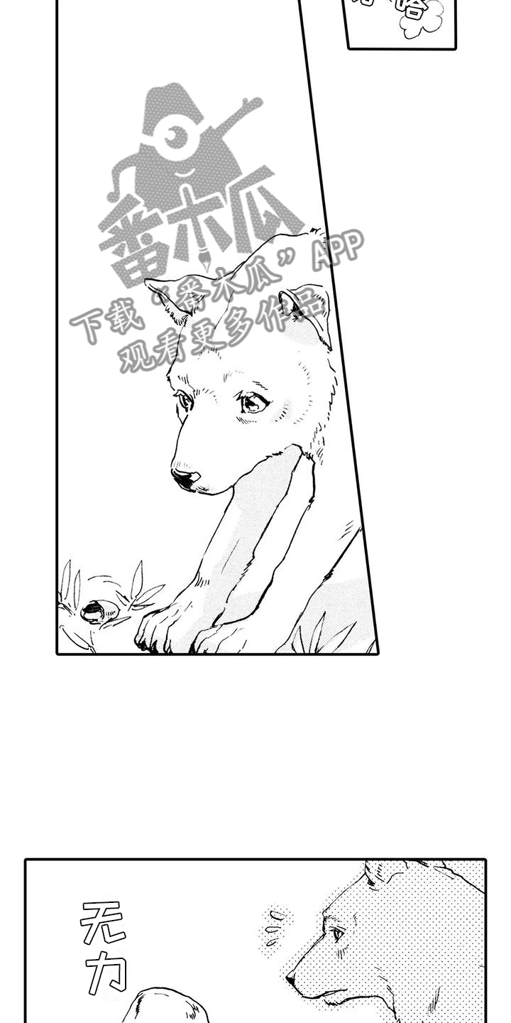 《狼人降临》第31章都是他干的 第13页
