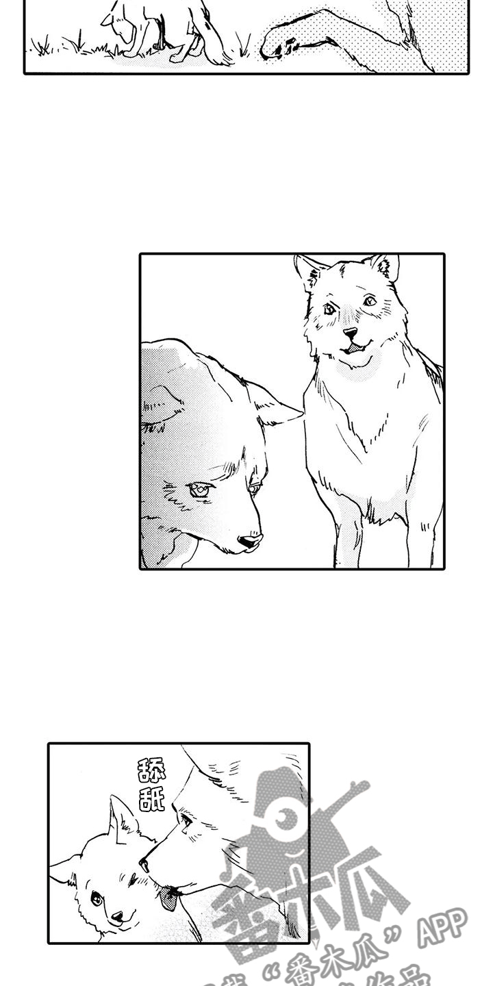 《狼人降临》第31章都是他干的 第14页