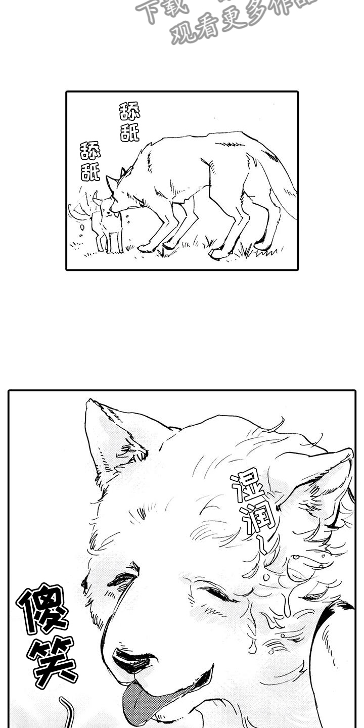 《狼人降临》第31章都是他干的 第15页