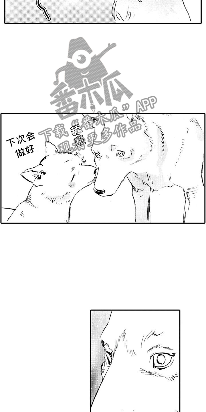 《狼人降临》第31章都是他干的 第16页