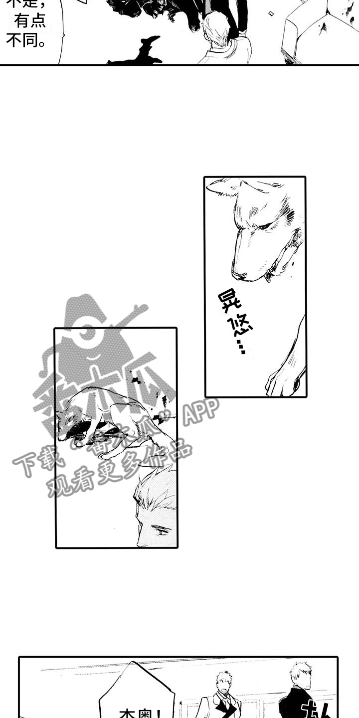 《狼人降临》第31章都是他干的 第5页