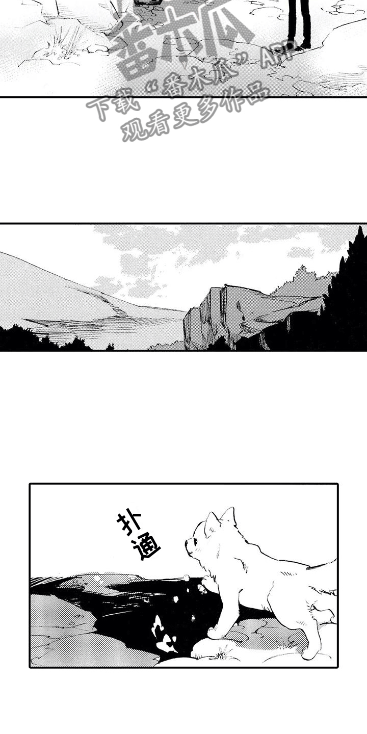 《狼人降临》第12章一起埋葬他 第8页
