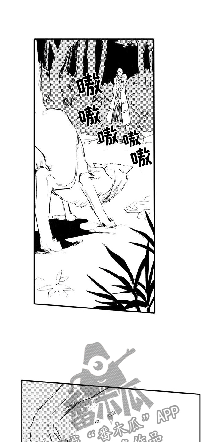 《狼人降临》第13章他说谎了 第5页