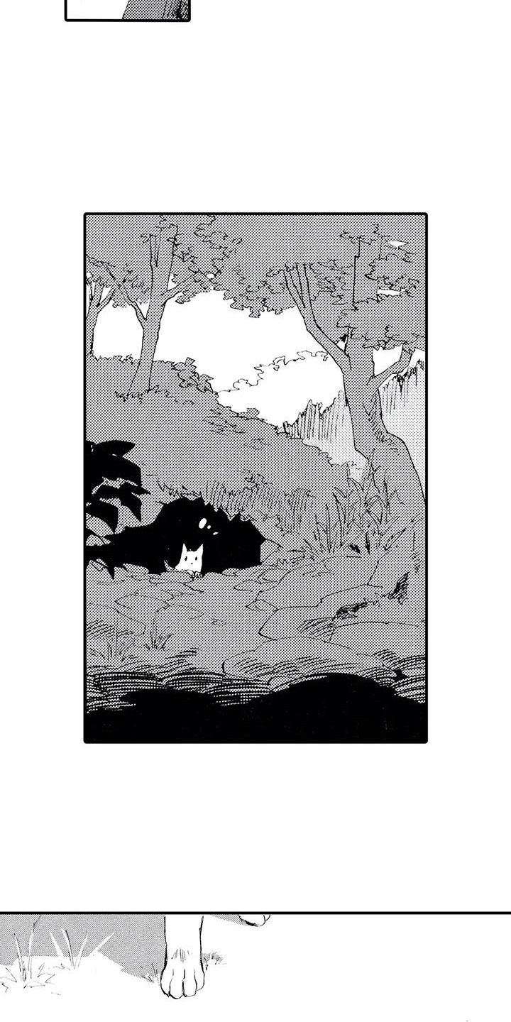《狼人降临》第11章那个人在哪？ 第3页