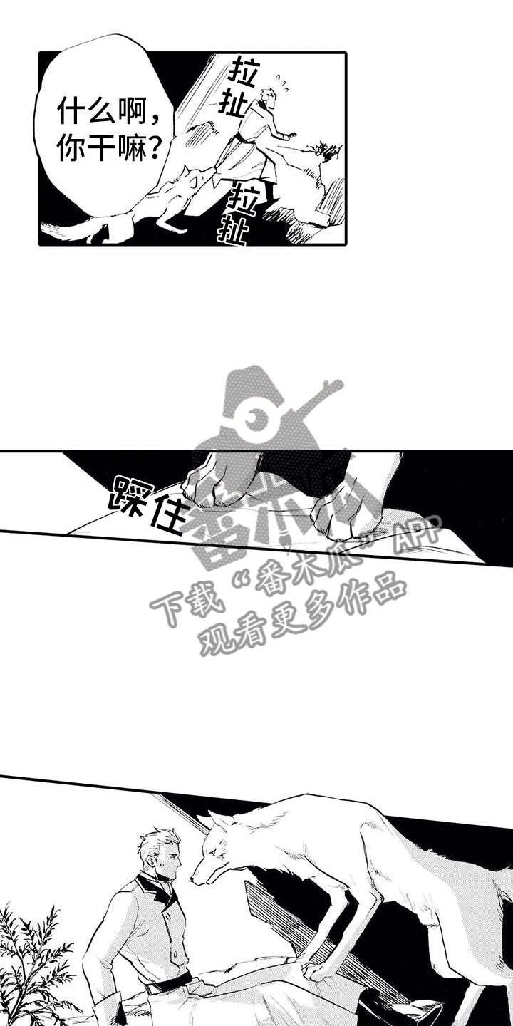 《狼人降临》第4章不让他走 第12页