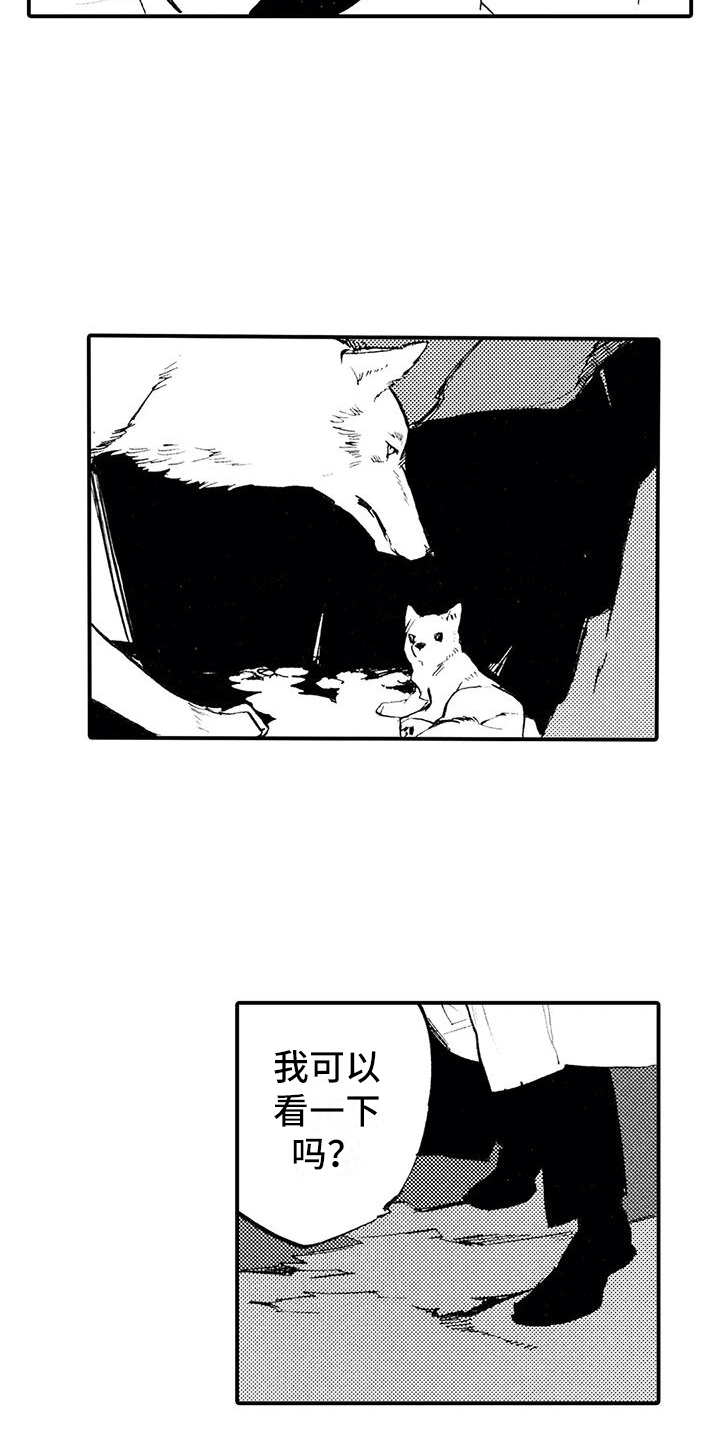 《狼人降临》第3章你能理解吧？ 第14页