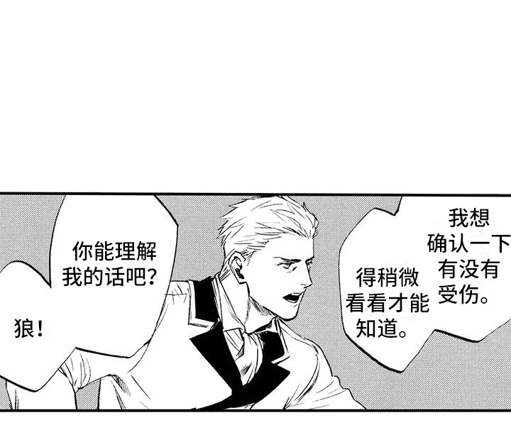 《狼人降临》第3章你能理解吧？ 第15页