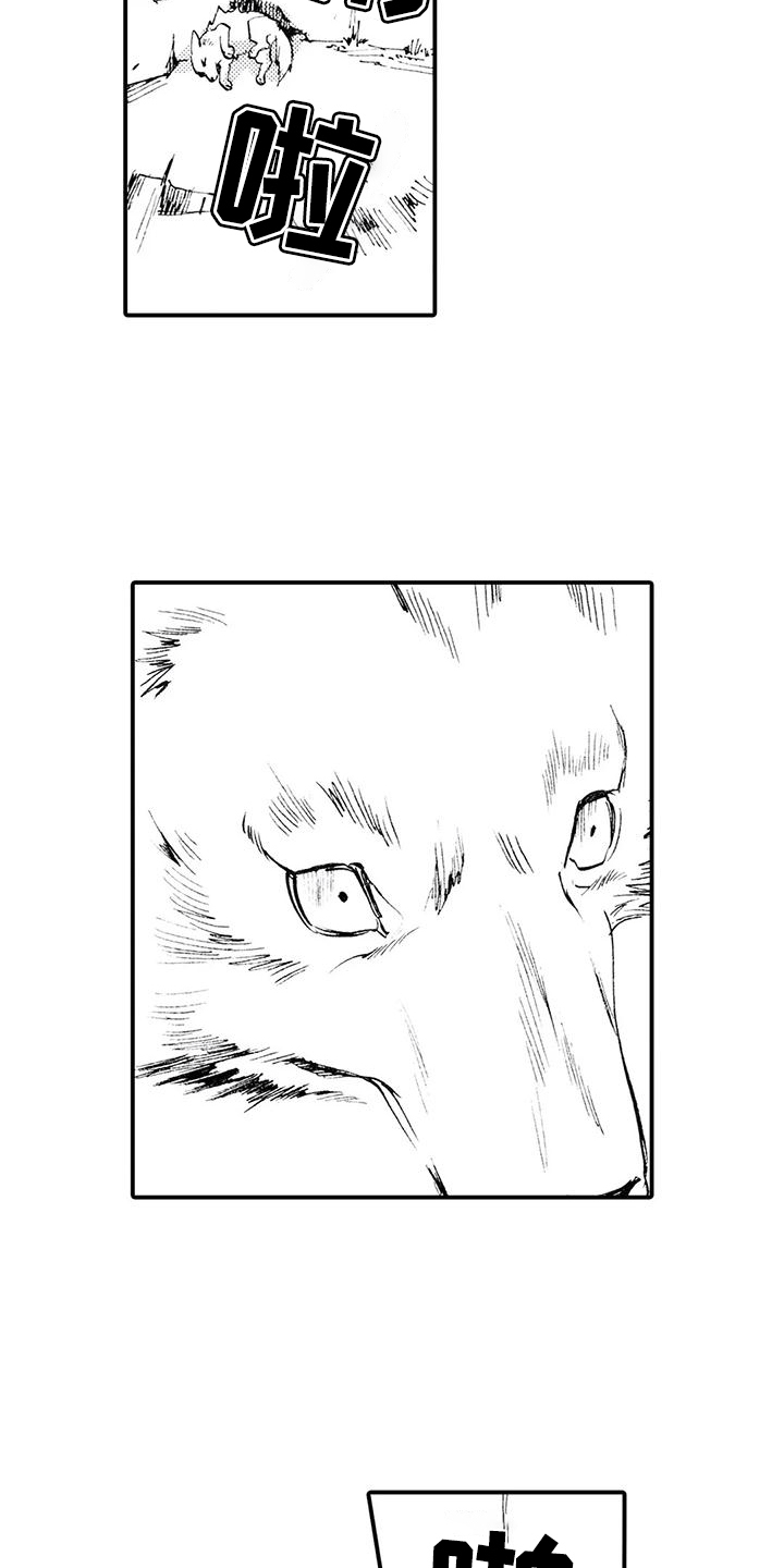 《狼人降临》第3章你能理解吧？ 第3页