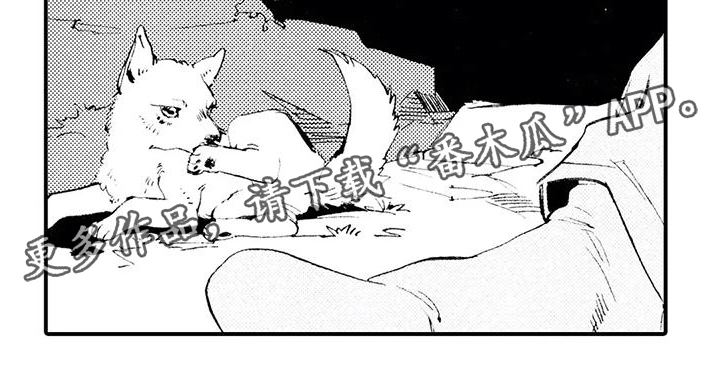 《狼人降临》第5章是狼人？！ 第17页