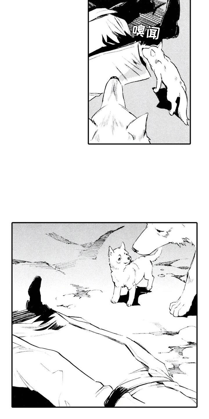 《狼人降临》第2章缘由 第10页