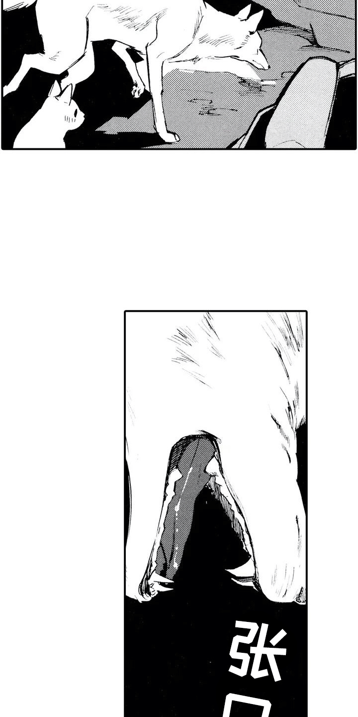 《狼人降临》第2章缘由 第12页