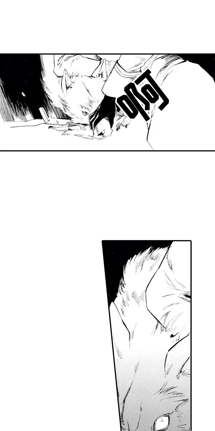 《狼人降临》第2章缘由 第15页