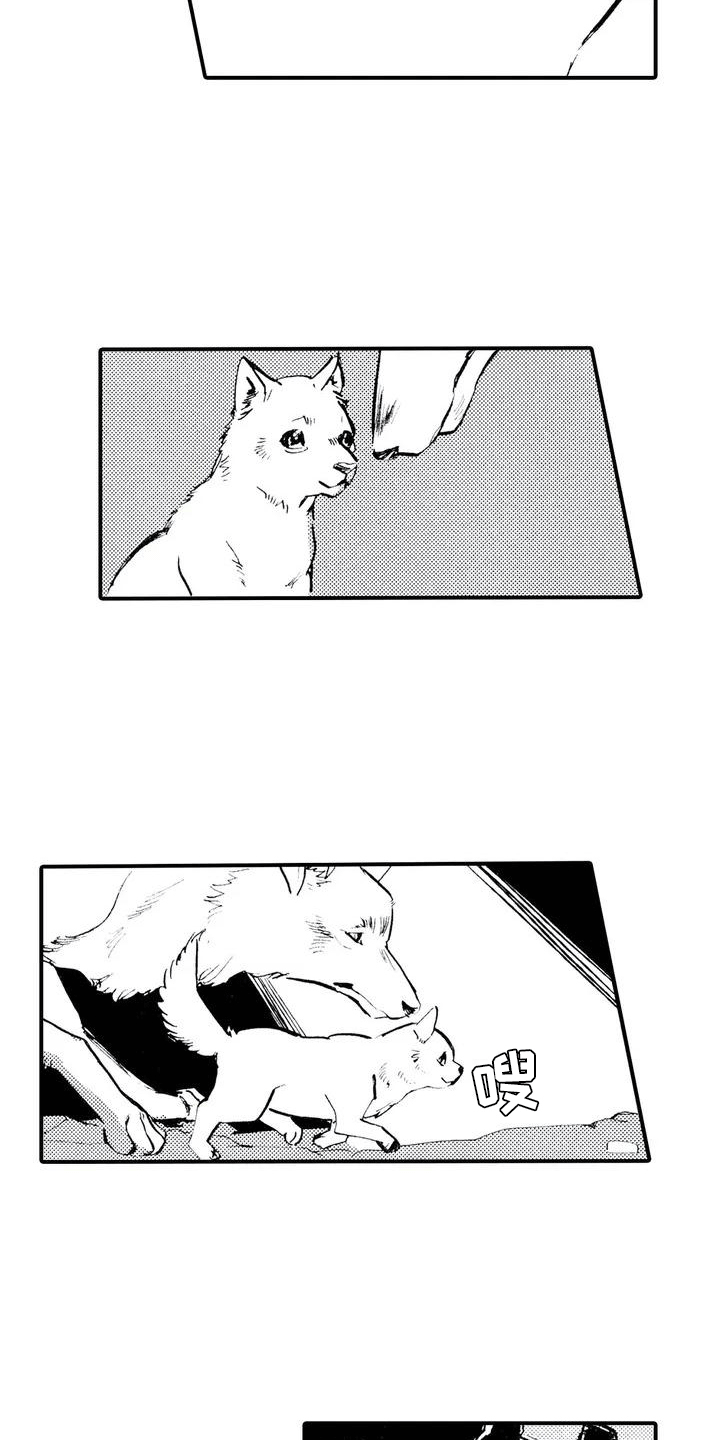 《狼人降临》第2章缘由 第9页